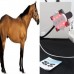 Electric Medical Pain Relief Portable Physical Laser Therapy Device for Animal Joint Pain Used At Anywhere And Anytime